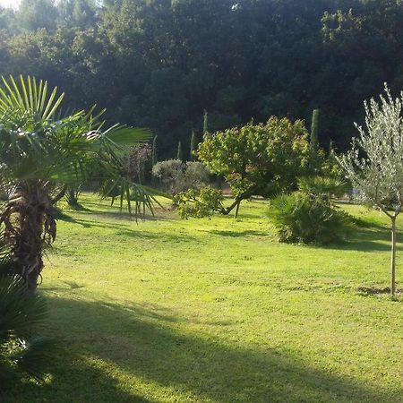 Provence Bed & Breakfast Carpentras Luaran gambar