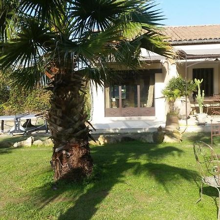 Provence Bed & Breakfast Carpentras Luaran gambar