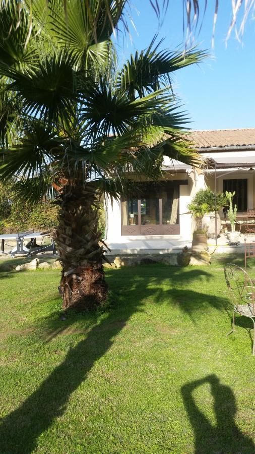 Provence Bed & Breakfast Carpentras Luaran gambar