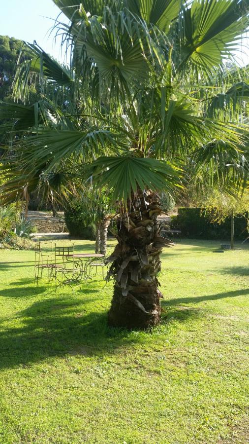 Provence Bed & Breakfast Carpentras Luaran gambar